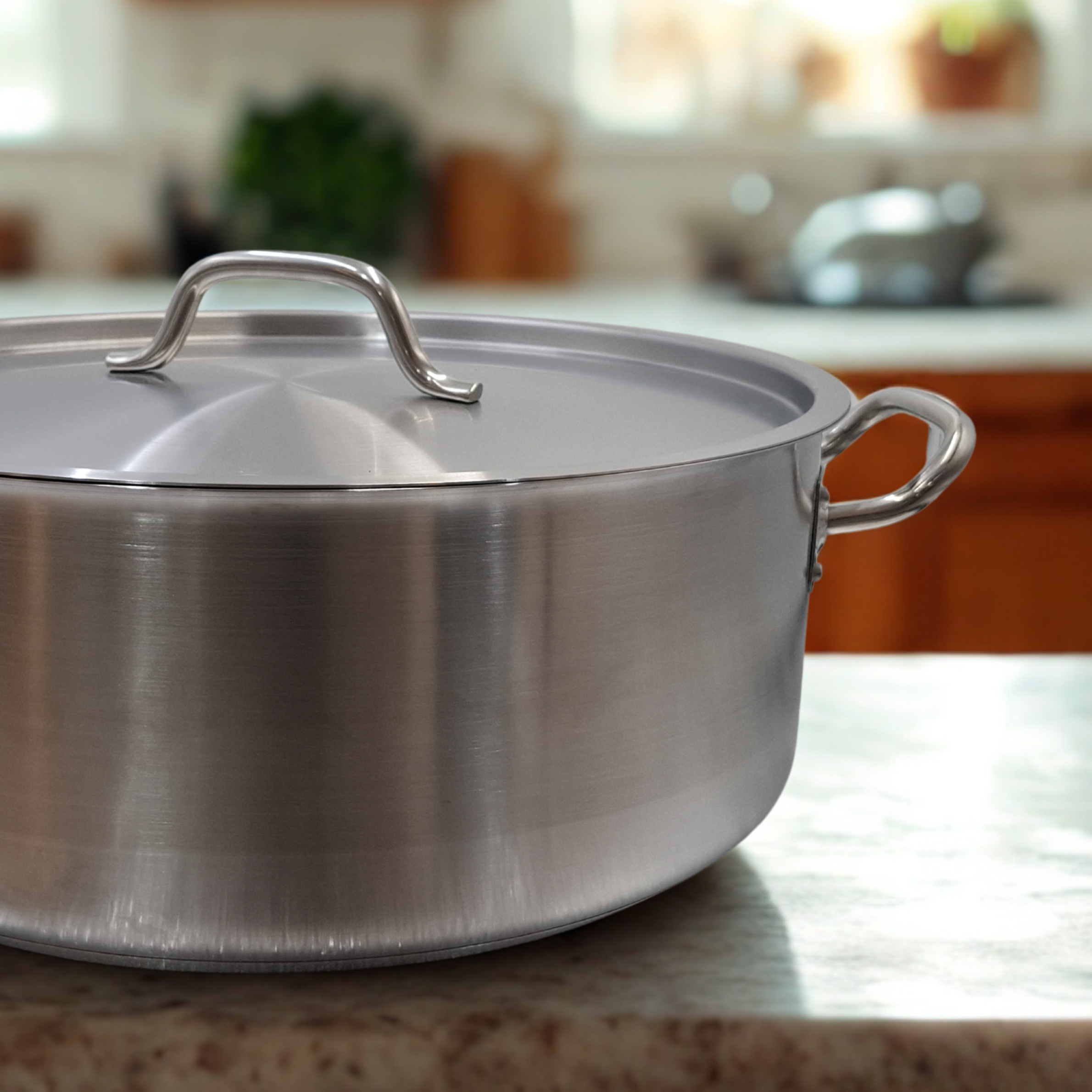 Low Casseorole w/ lid 2 side handles
